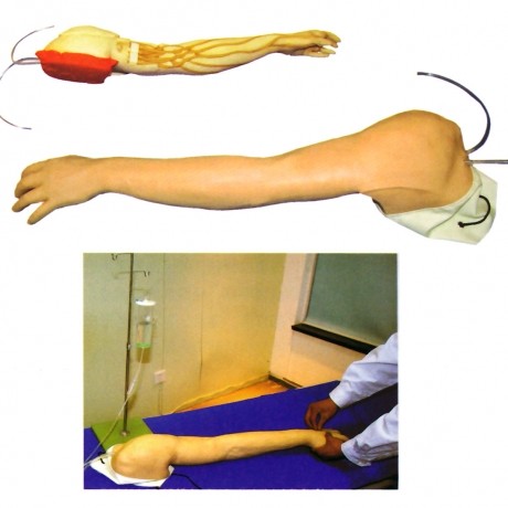 全功能完整靜脈穿刺及注射訓練手臂模型